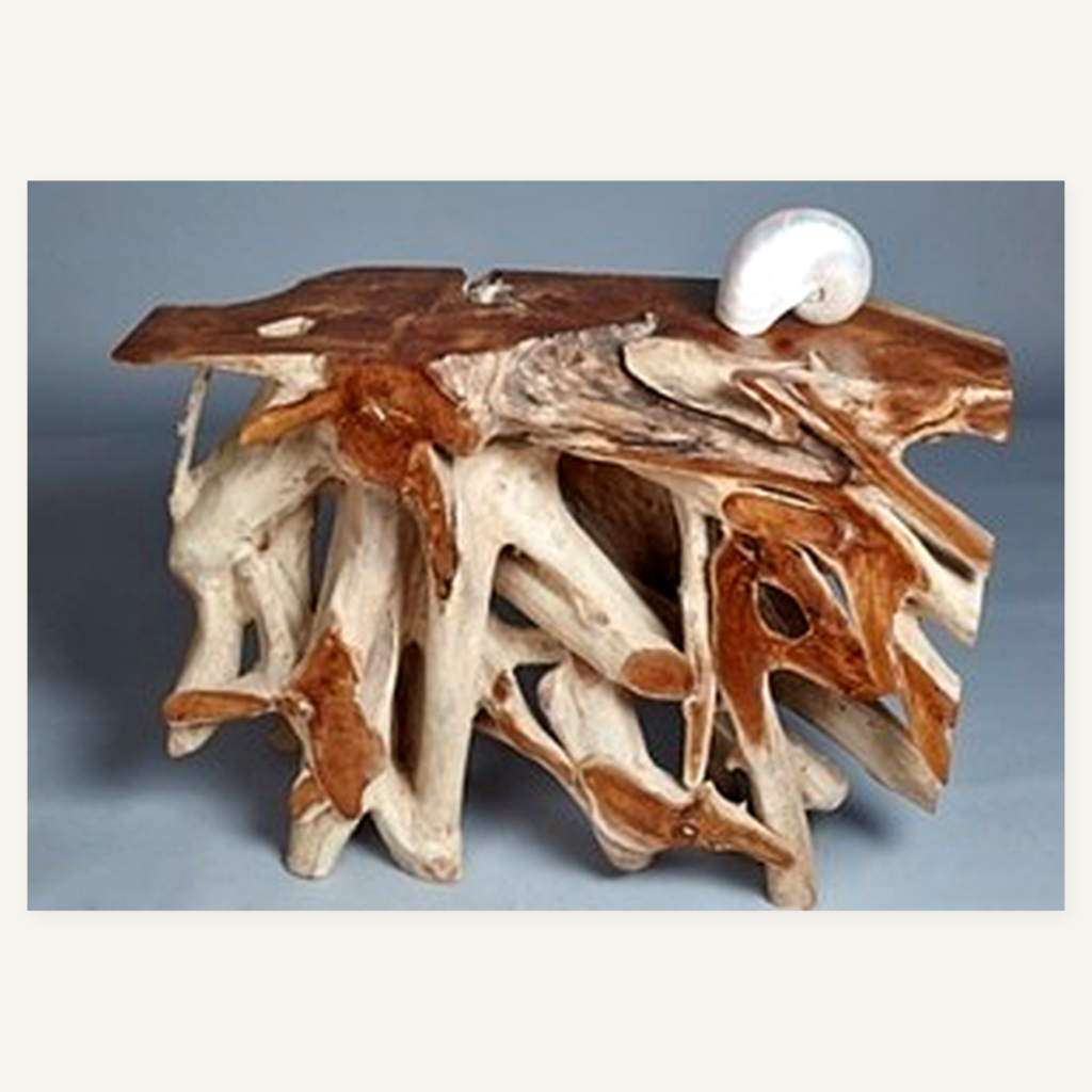 Teak root console table by Java Living Co