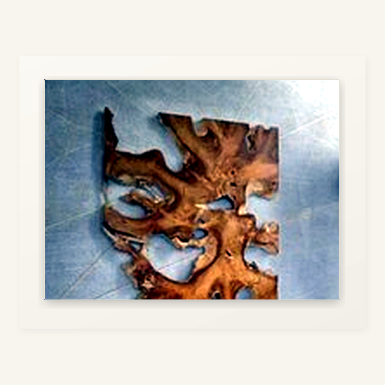 Teak root wall decoration by Java Living Co