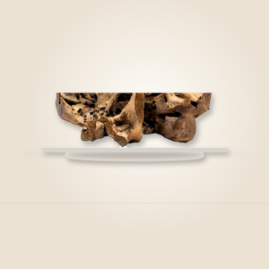 Teak root coffee table base by Java Living Co