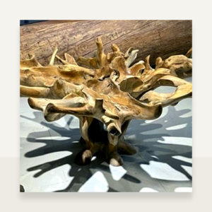 Teak Root Coffee Table