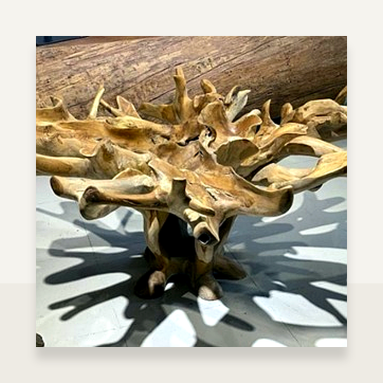 Teak Root Coffee Table