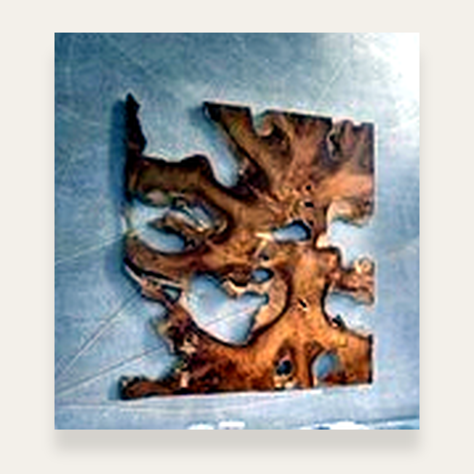 Teak Root Wall Decoration