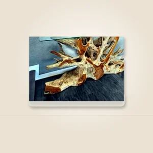Teak root console table base by Java Living Co