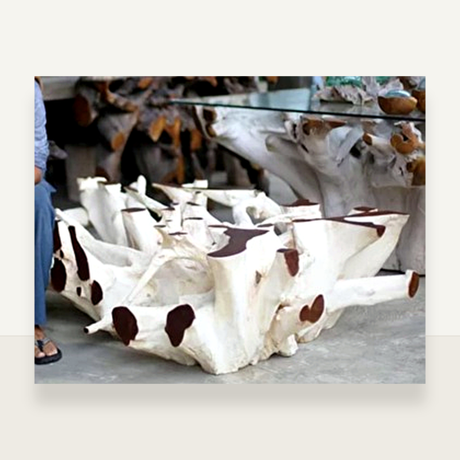 Teak Root Coffee Table