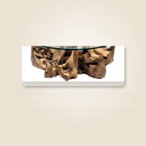Teak root coffee table base by Java Living Co