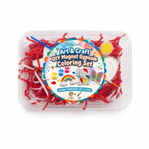 Art & Craft DIY Magnet Gypsum Coloring Set