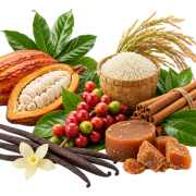 Indovia Mega Menu Agriculture Plantation